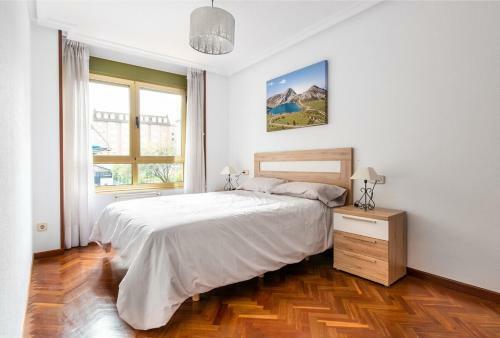 Myhousespain - Amplio Apartamento En El Centro De Oviedo