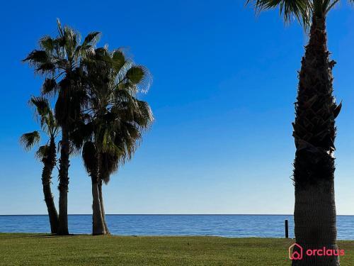 Apartamento Aqua Turquesa