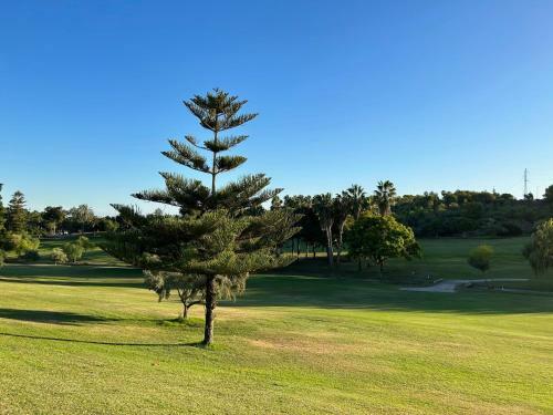 Apartamento Beautiful Modern Flat With Pool In Lomas De Campoamor