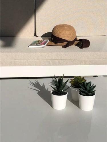 Apartamento Naranjo59 - Las Colinas Penthouse