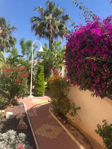 Apartamento Villamartin Tosca