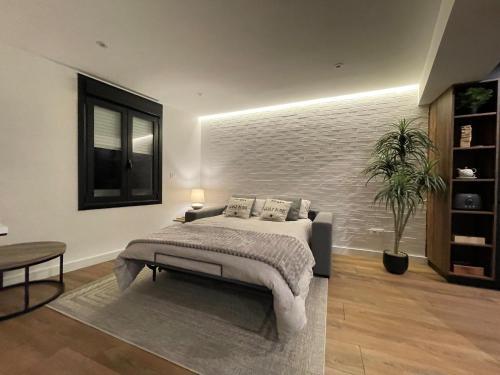 Apartamento C&g �tico C�ntrico Con Terraza