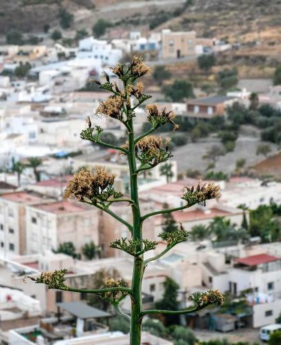 Apartamento Nijar Bella Y Su Parque Natural Cabo de Gata