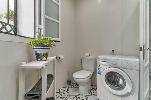 Apartamento One Bedroom Penthouse