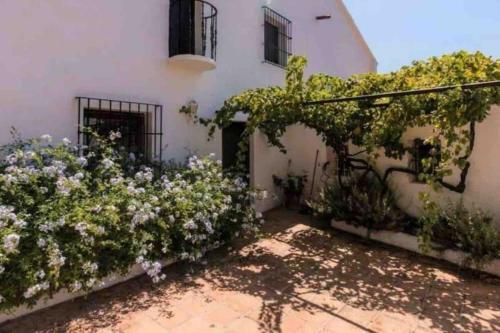 Cortijo Nerja Artist Paradise