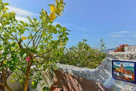Shr035 Villa El Algarrobo