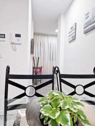 Apartamento Alojamientos Fenix