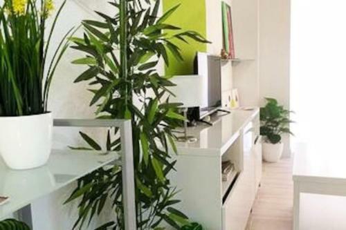 Apartamento Modern Oscvict En Murcia