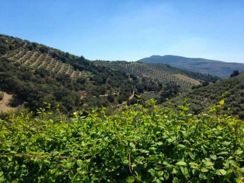 6 Bedrooms House With Shared Pool Jacuzzi And Wifi At Montefrio