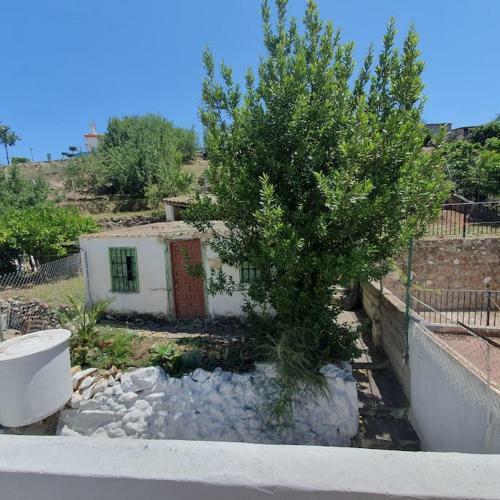 Casa Haarleme�a