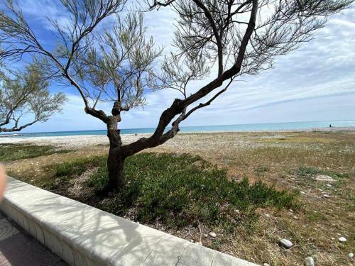 Apartamento Vistas Al Mar, A 350m De La Playa