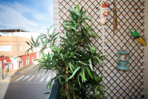 Apartamento Turismo Y Relax