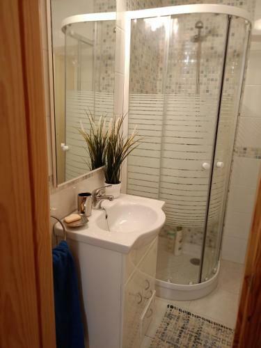 Apartamento Reyes