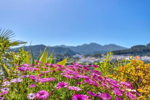 Apartamento Monda Heights Close To Marbella