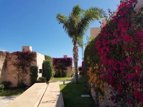 Sea View Cozy Apartment La Tanita
