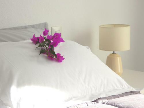 Apartamento Playa Mijas