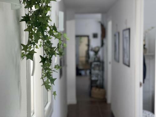 Holiday Apartment Casa Granaas