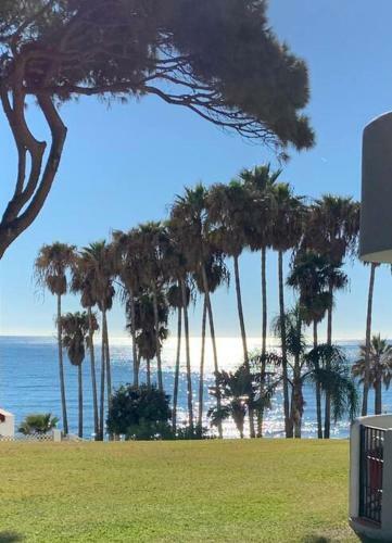 Apartamento Fancy Studio Direct Access To Sea?parking?pool