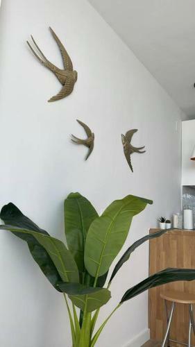 Apartamento Fancy Studio Direct Access To Sea?parking?pool
