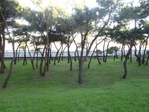 Apartamento Frente Al Mar Lovely Place