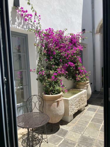 Apartamento Casa Del Museo - Agua