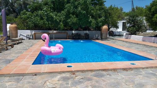 Bed & Breakfast El Violin Experiencia Adults Only