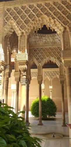 Bed & Breakfast El Violin Experiencia Adults Only