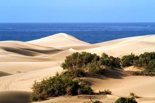 Apartamento Cozy Bungalow Maspalomas Oasis