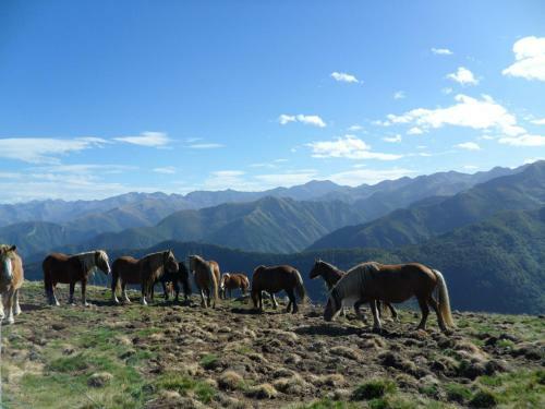 Camping Le Haut Salat