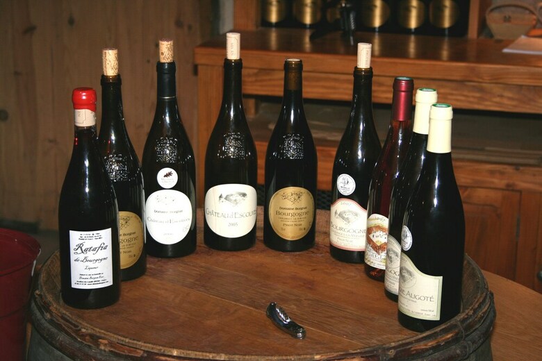 Hostal Domaine Borgnat