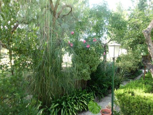 Apartamento Vila Libania