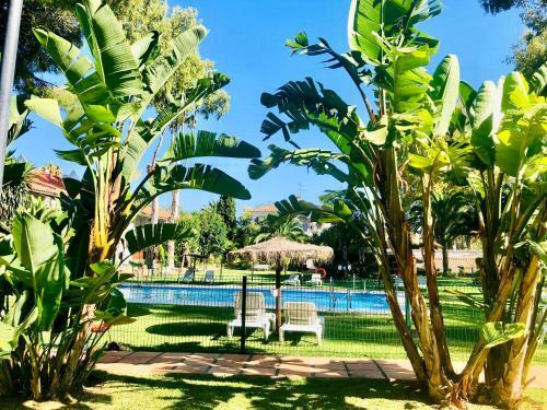 Puerto Banus Apartamento Cuqui