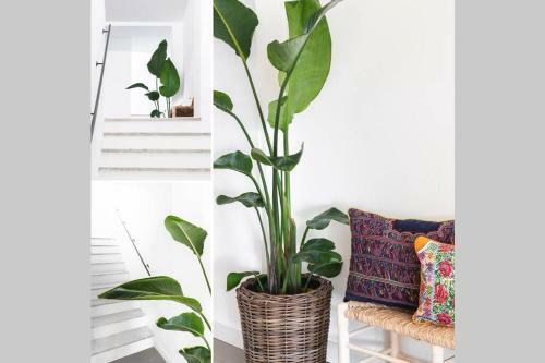 Apartamento Las Flores De Marta (milla De Oro - Marbella)