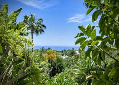 Stay In Paradise Luxury Apartment