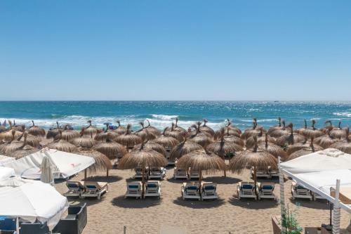 Superb Large Apartment On The Beach