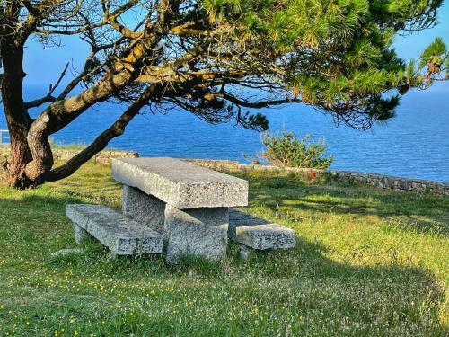 Apartamento Malpica Dise�o