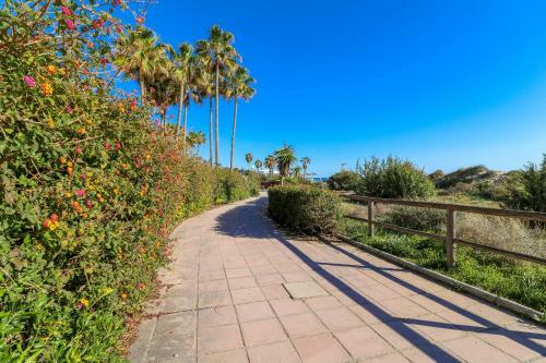 Romana Playa Apartment By The Beach