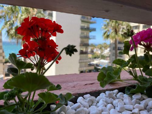 Apartamento Studio Second Line Of The Beach Center Sea View