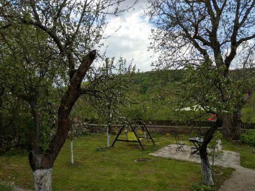 Hostal Vitanova Guest House