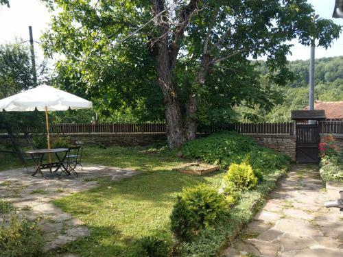 Hostal Vitanova Guest House
