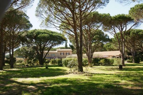 Bed & Breakfast Le� Souco