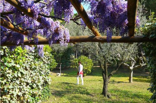 Bed & Breakfast Le� Souco