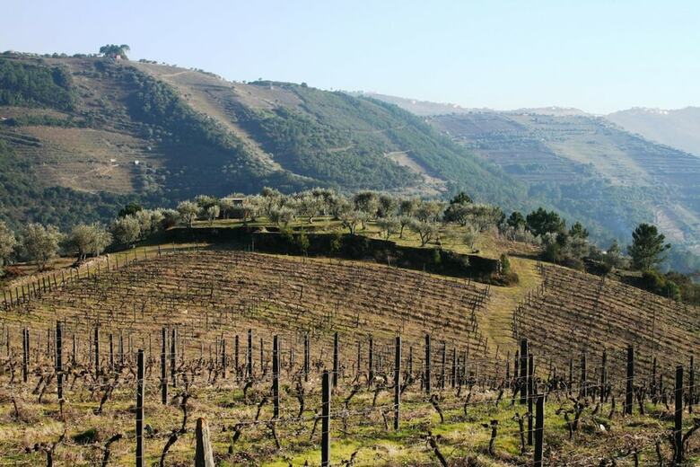 Agroturismo Quinta Da Cumieira