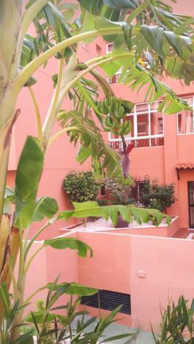Fant�stico Apartamento Vft Ma 75455