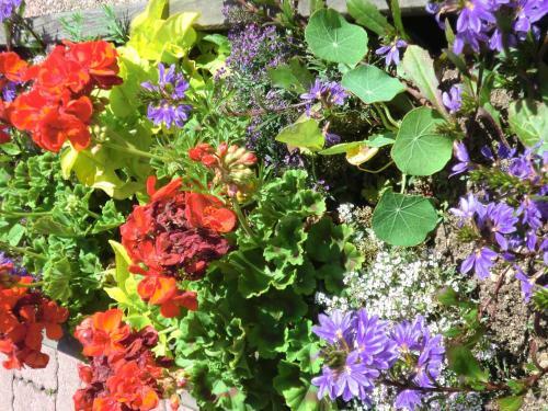 Hotel H�tel La Vall�e