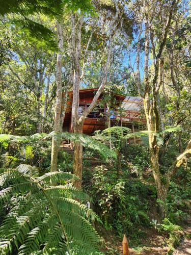 Caba�a En Medio Del Bosque Con Jacuzzi - Santa Elena
