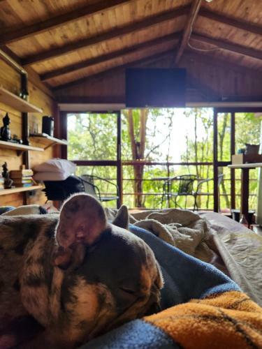 Caba�a En Medio Del Bosque Con Jacuzzi - Santa Elena