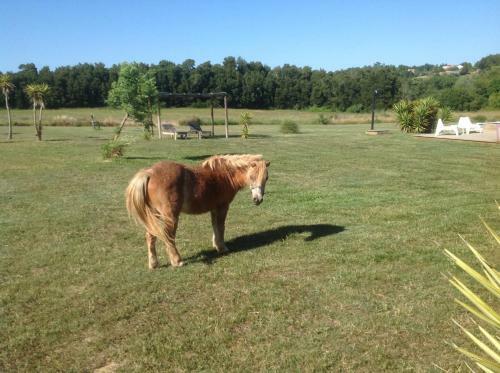 Hostal Quinta De Moledos