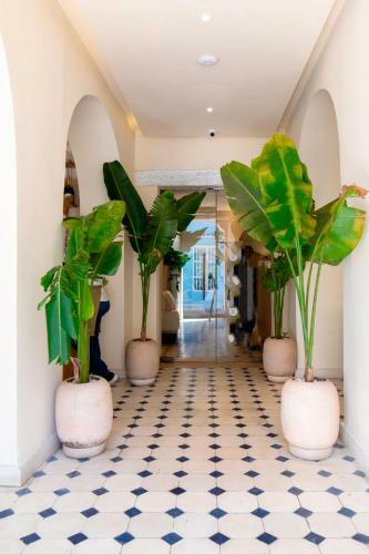 B Haus Hotel
