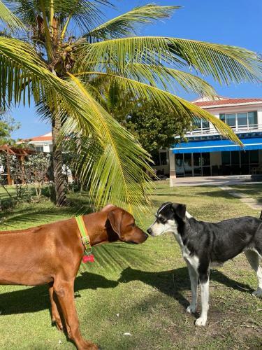 Casa Moderna Con Playa Cartagena